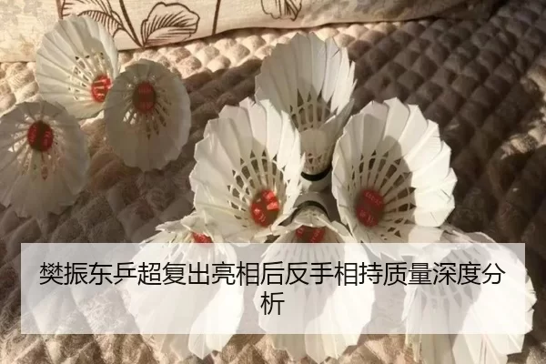 樊振东乒超复出亮相后反手相持质量深度分析